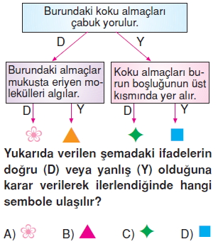 Vücüdümüzdasistemlerkonutesti10007