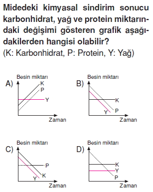 Vücüdümüzdasistemlerkonutesti1003