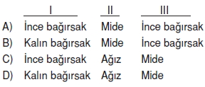 Vücüdümüzdasistemlerkonutesti2001