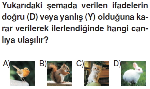 Vücüdümüzdasistemlerkonutesti2006