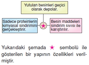 Vücüdümüzdasistemlerkonutesti2007