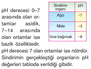 Vücüdümüzdasistemlerkonutesti3001