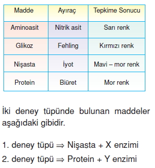 Vücüdümüzdasistemlerkonutesti3003