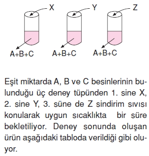 Vücüdümüzdasistemlerkonutesti3004