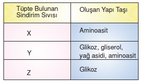 Vücüdümüzdasistemlerkonutesti3005