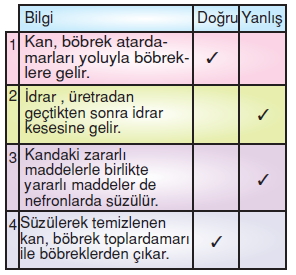 Vücüdümüzdasistemlerkonutesti4001