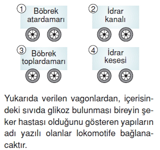 Vücüdümüzdasistemlerkonutesti4007