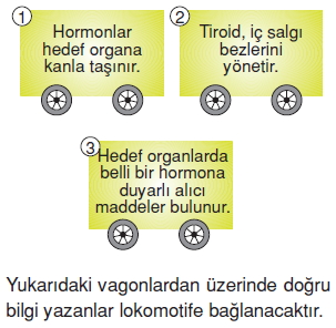 Vücüdümüzdasistemlerkonutesti6001