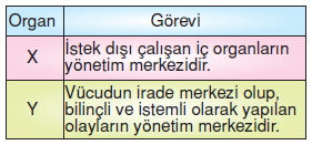 Vücüdümüzdasistemlerkonutesti6003