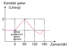 Vücüdümüzdasistemlerkonutesti7003