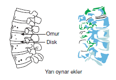 Yari_oynar_ekler