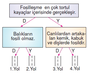 Yerkabugunelerdenolusurcözümlütest1010