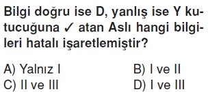 Yerkabugunelerdenolusurcözümlütest1021