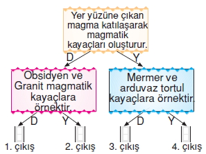 Yerkabugunelerdenolusurkonutesti1003