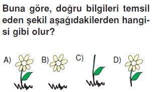 Yerkabugunelerdenolusurkonutesti2002