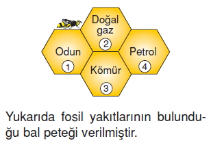 Yerkabugunelerdenolusurkonutesti2003