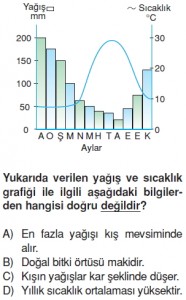 Yeryüzündeyasamkonutesti10002