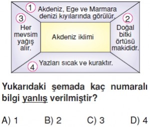 Yeryüzündeyasamkonutesti10007