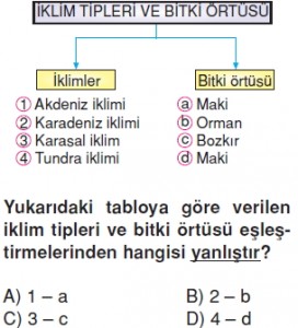 Yeryüzündeyasamkonutesti12008