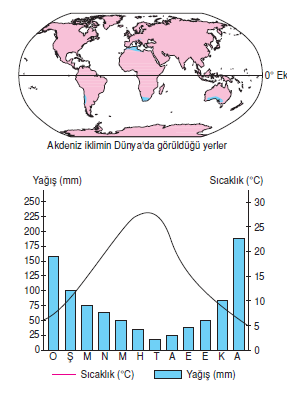 akdeniz_iklimi