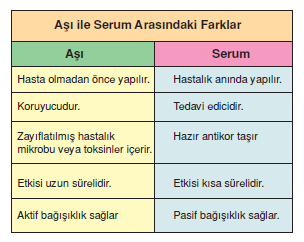 asi_ve_serum