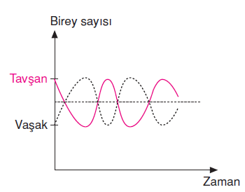 av_avci_iliskisi