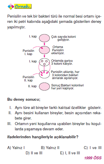 bakterilerde_ureme_001