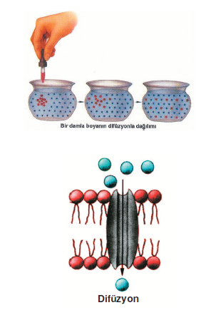 difuzyon