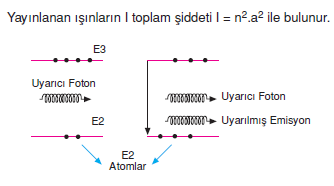 fotanlar