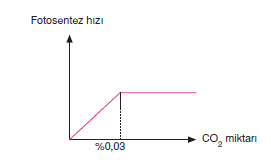 fotosentez_hizi