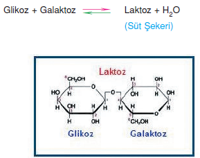 glikoz