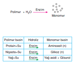 hidrolaz