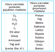 hucre_zarindan_madde_gecisi