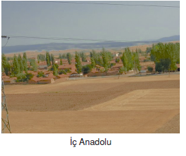 Delta doğal taş Delta doğal taş