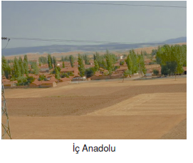 ic_anadolu