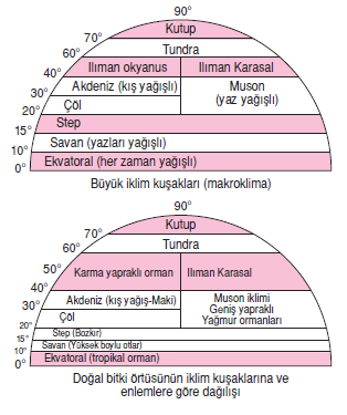 iklim_tipi