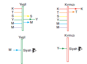 isigin_filtreden_gecisi