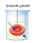 izotonik_cozelti