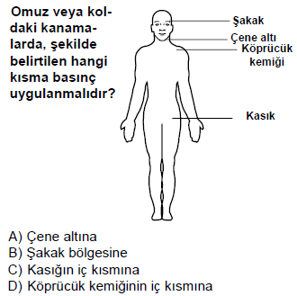 ilkyardım16