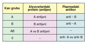 kan_grubu