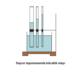 kilcallik_olayi