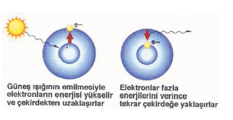 klorofil