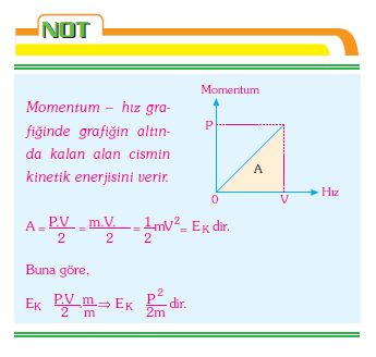 notum