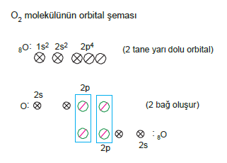 oksijenin_orbitali