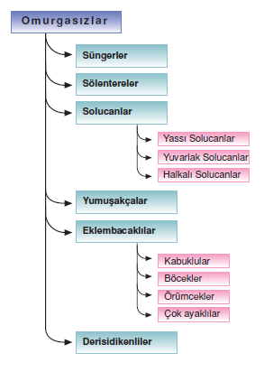 omurgasizlar