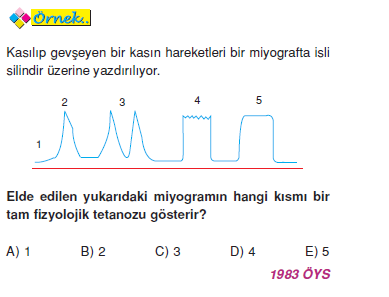 ornek