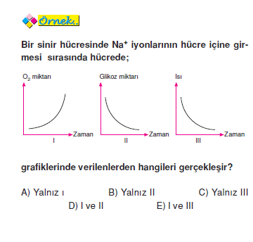 ornek