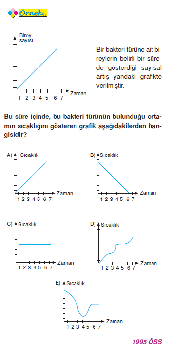 ornek_bakteri