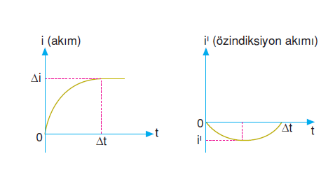 ozinduksiyon