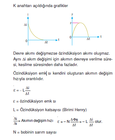 ozinduksiyon_emksi_